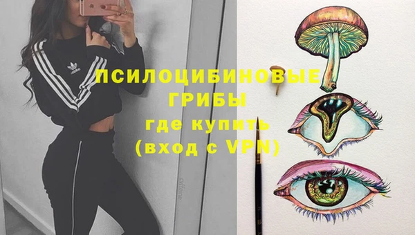 стафф Зеленодольск